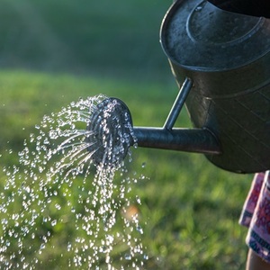 watering can