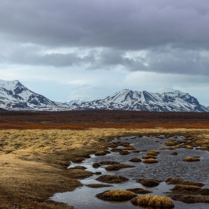 Arctic tundra landscape