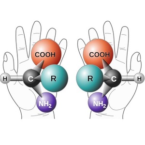 chiral amino acid left right hand